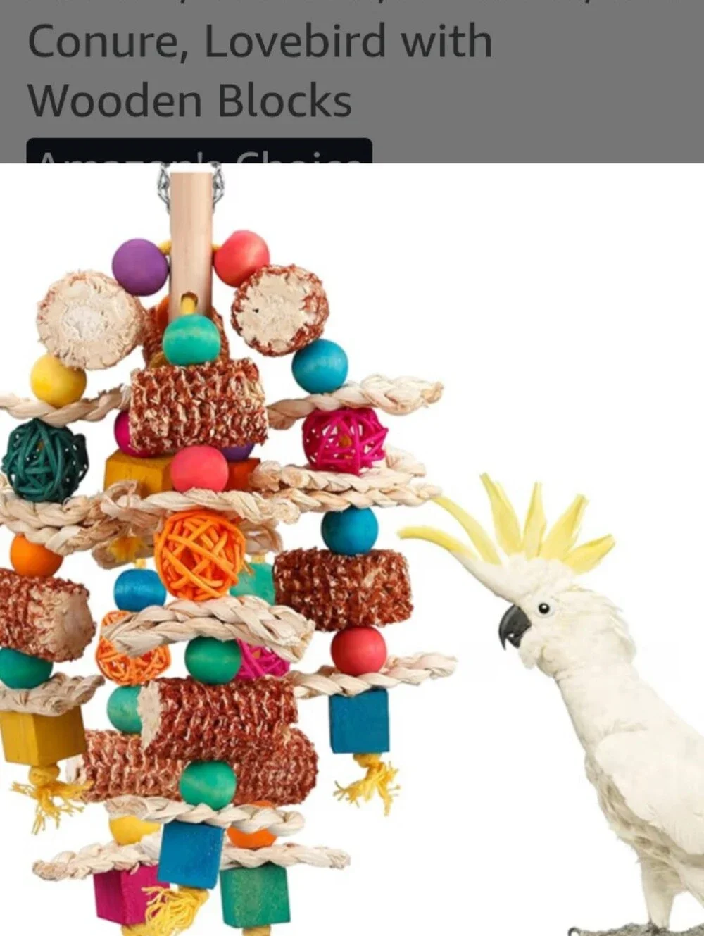 Colorful Natural Chew Toy for Small Pets